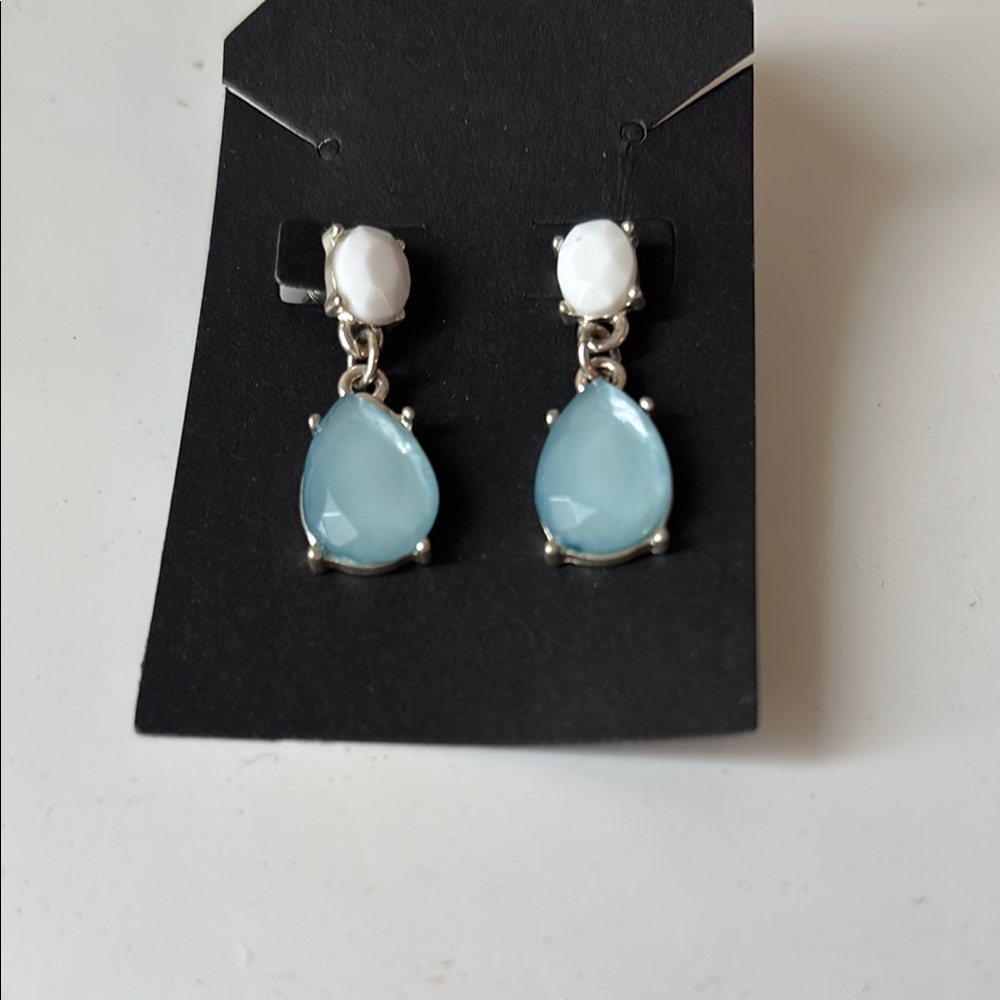 Elegant Silver and Blue Drop Earrings